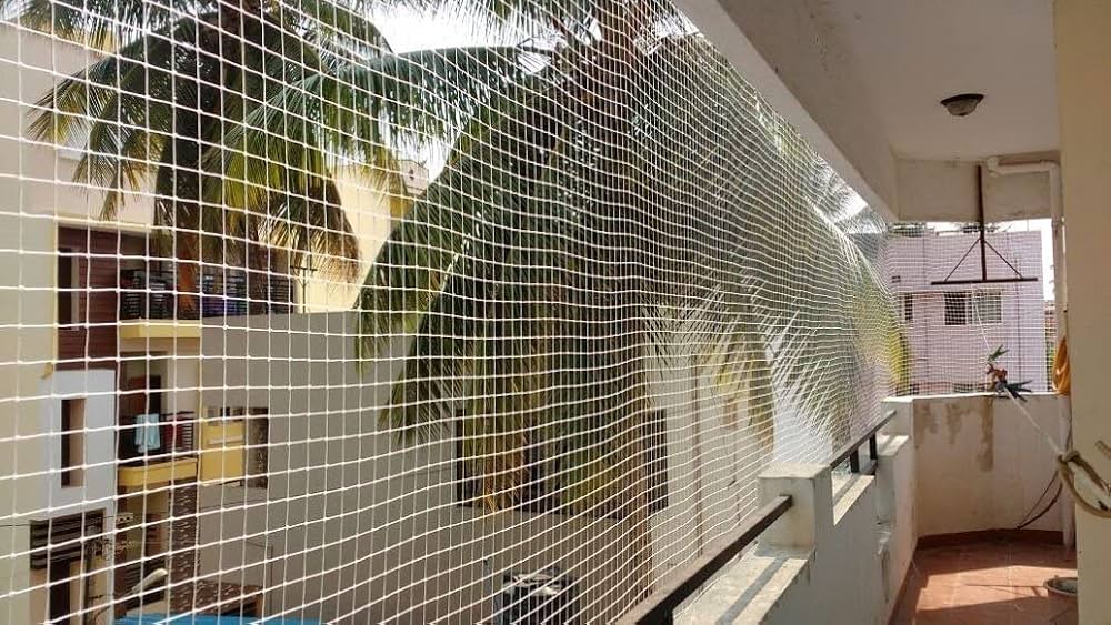 Termite Control